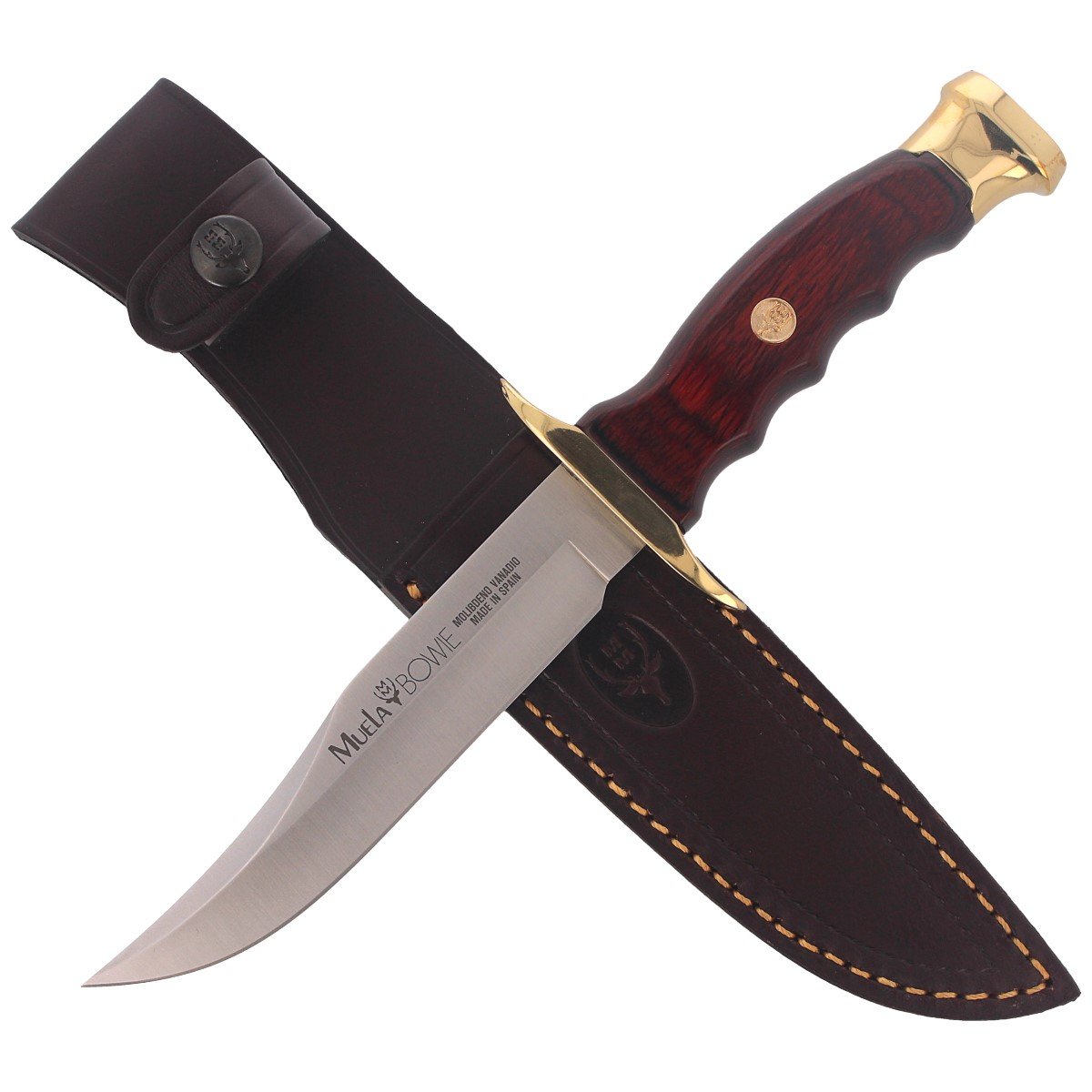 Knive Muela