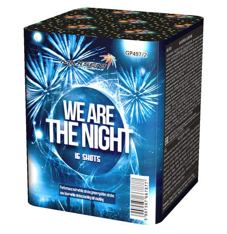 WE ARE THE NIGHT fireworks